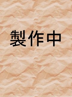 イメージ4